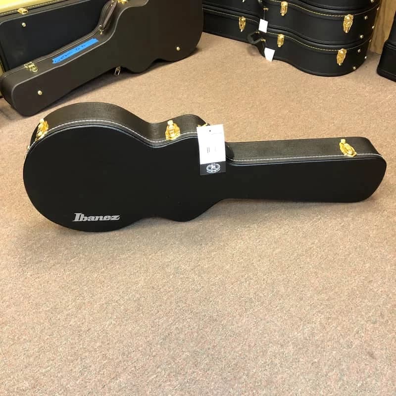 Ibanez AM100C TKL A2333/BL Hard Case
